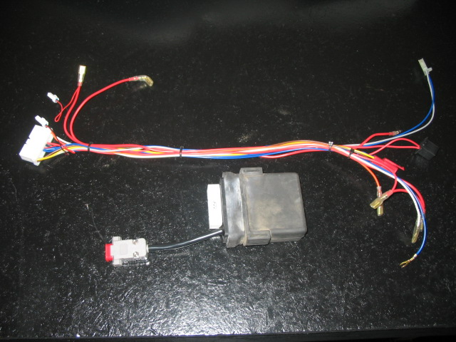 Wire harness and programmable CDI